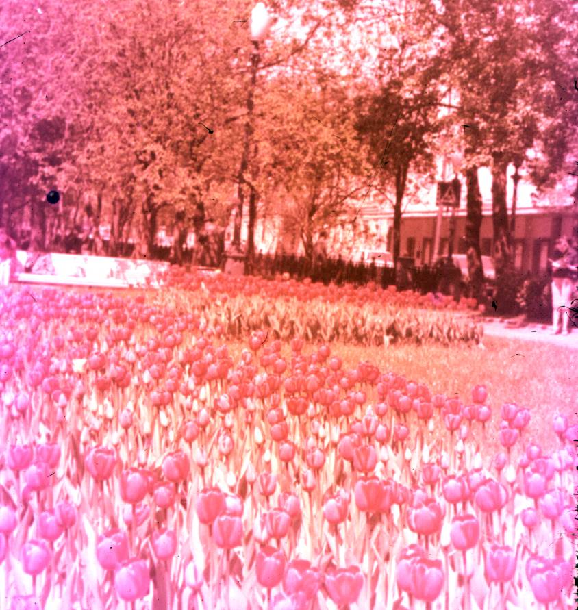 140.jpg