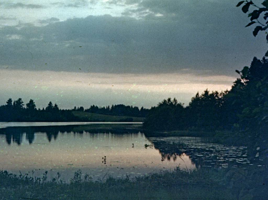 043.jpg