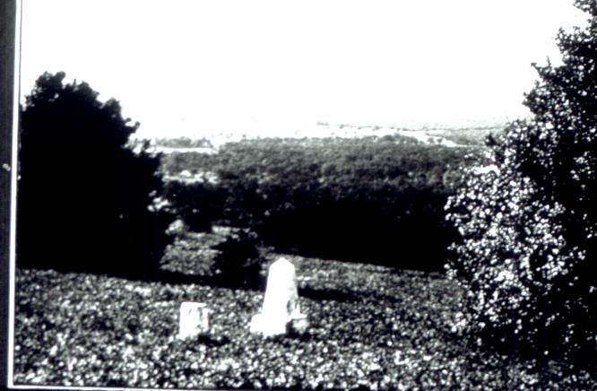 065.jpg
