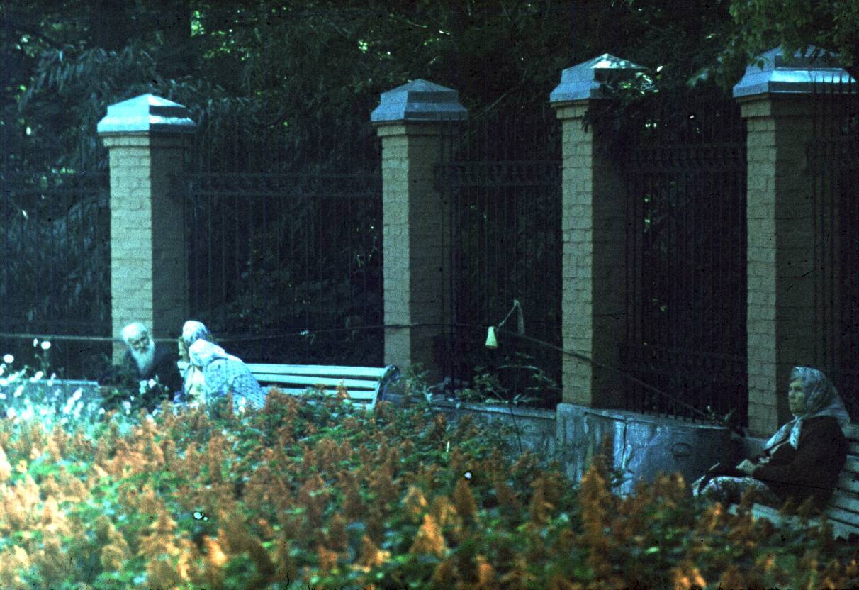 217.jpg