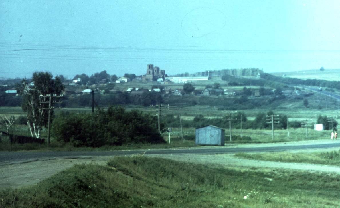 230.jpg
