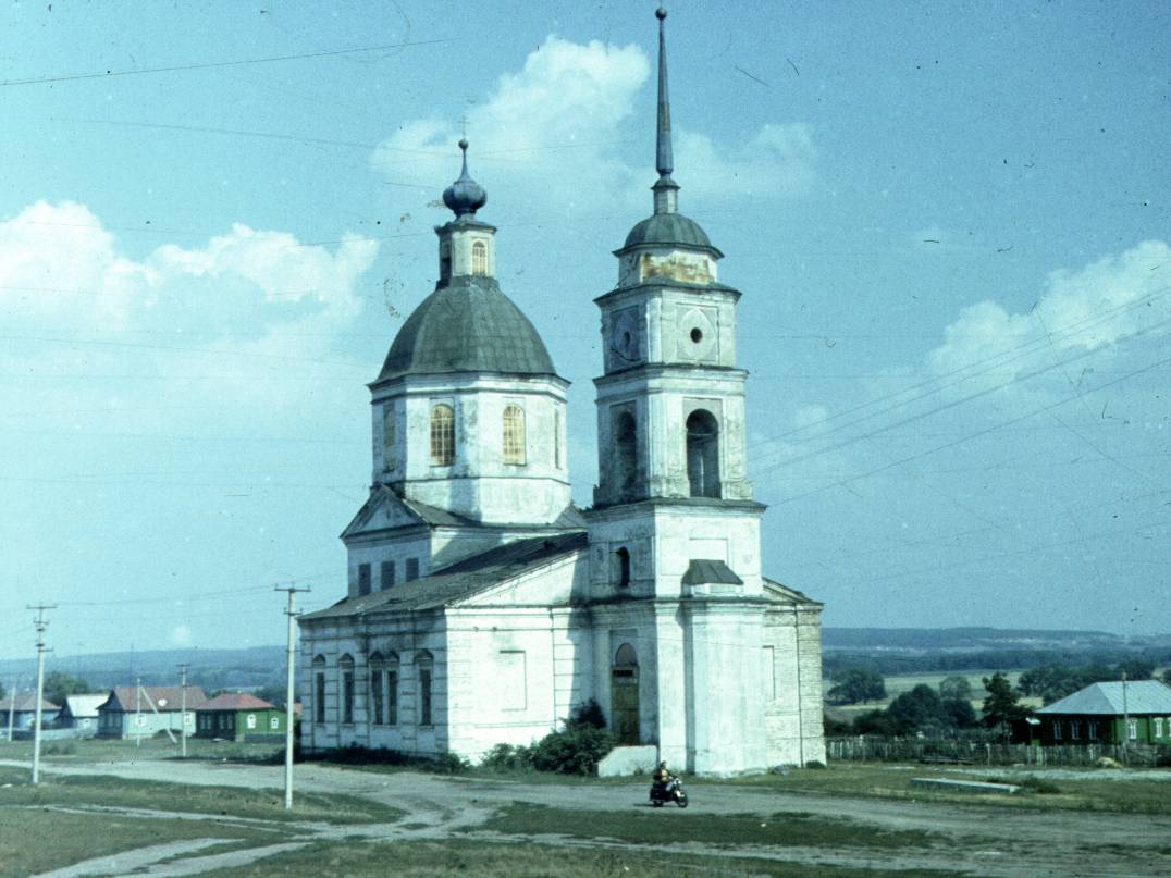 231.jpg