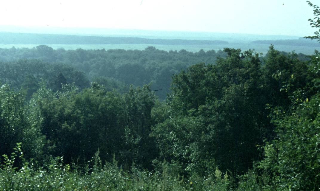 107.jpg