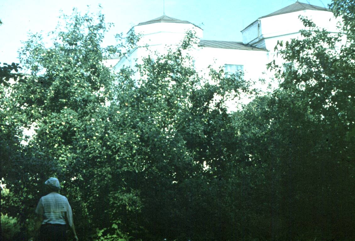 116.jpg