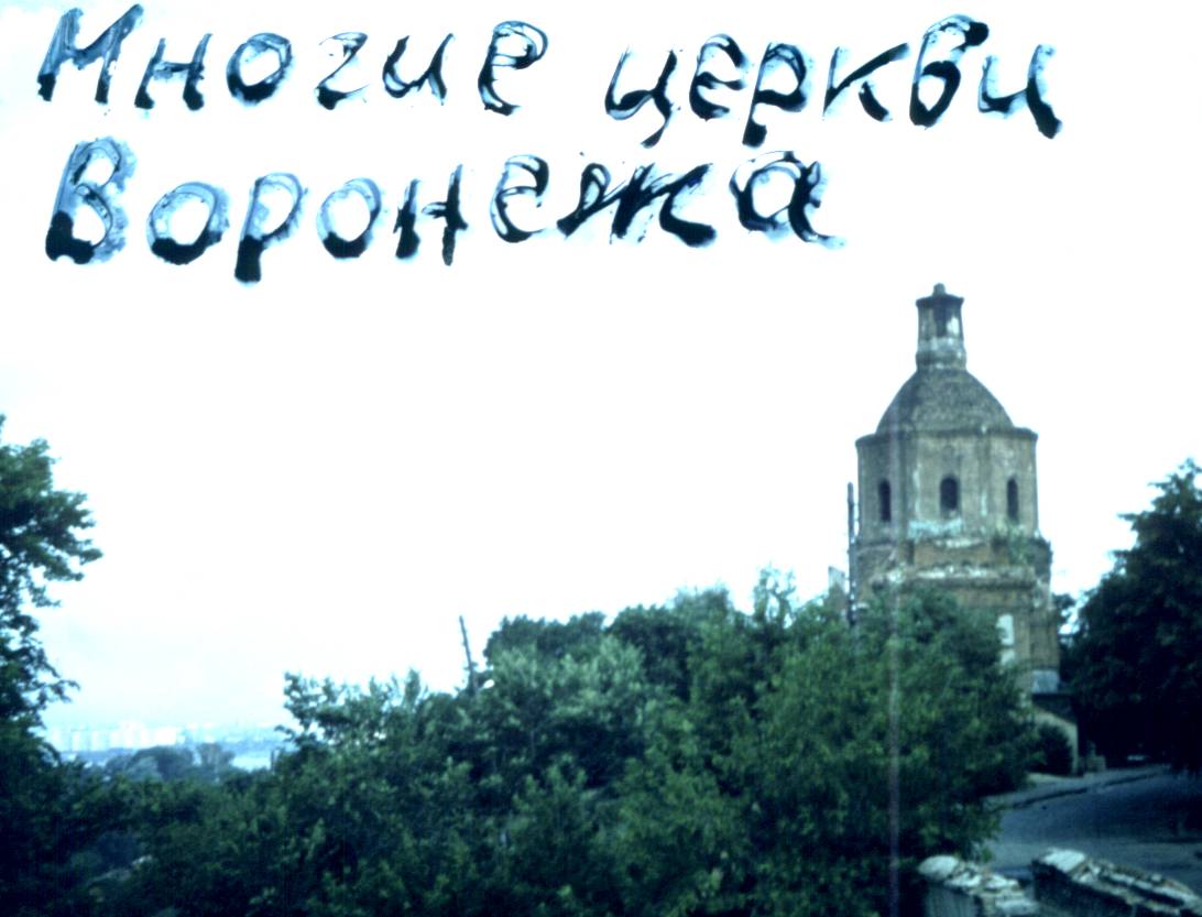 100.jpg
