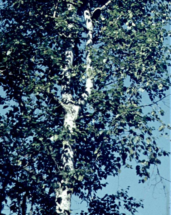 140.jpg