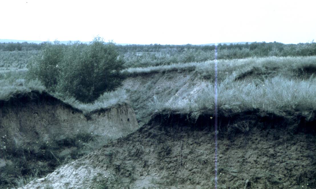 176.jpg