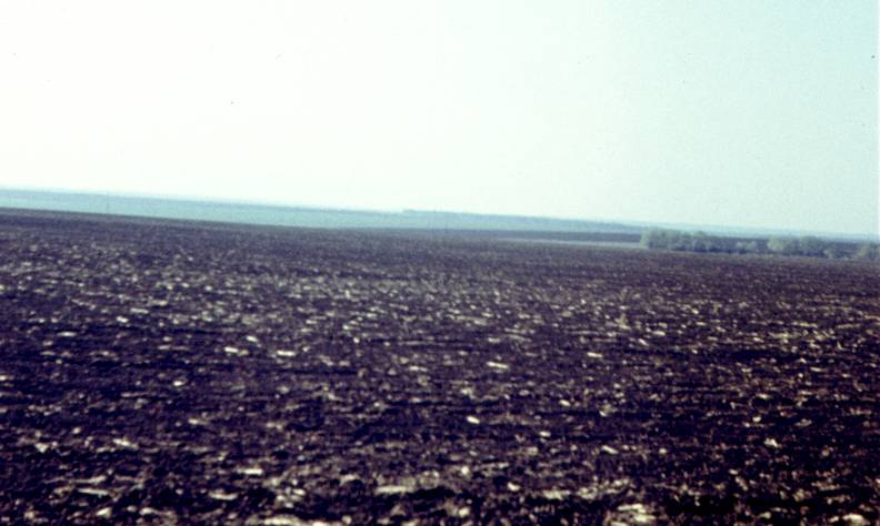 177.jpg