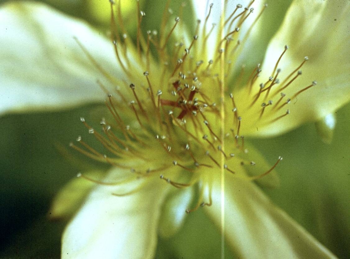 191.jpg