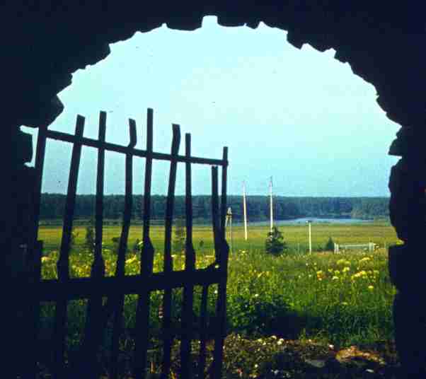 110.jpg