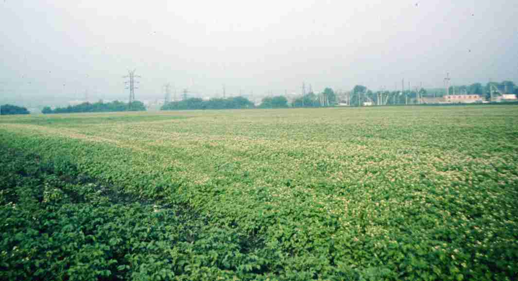 118.jpg