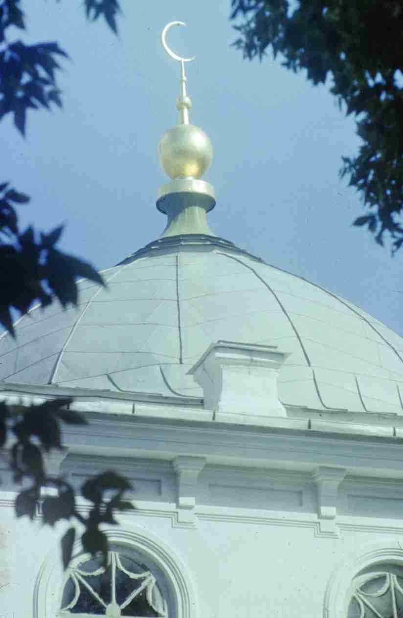 186.jpg
