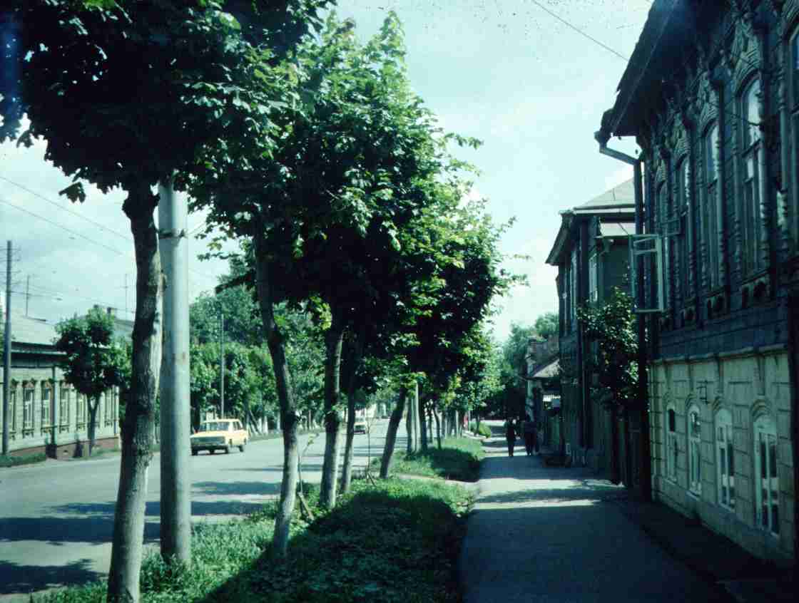 195.jpg