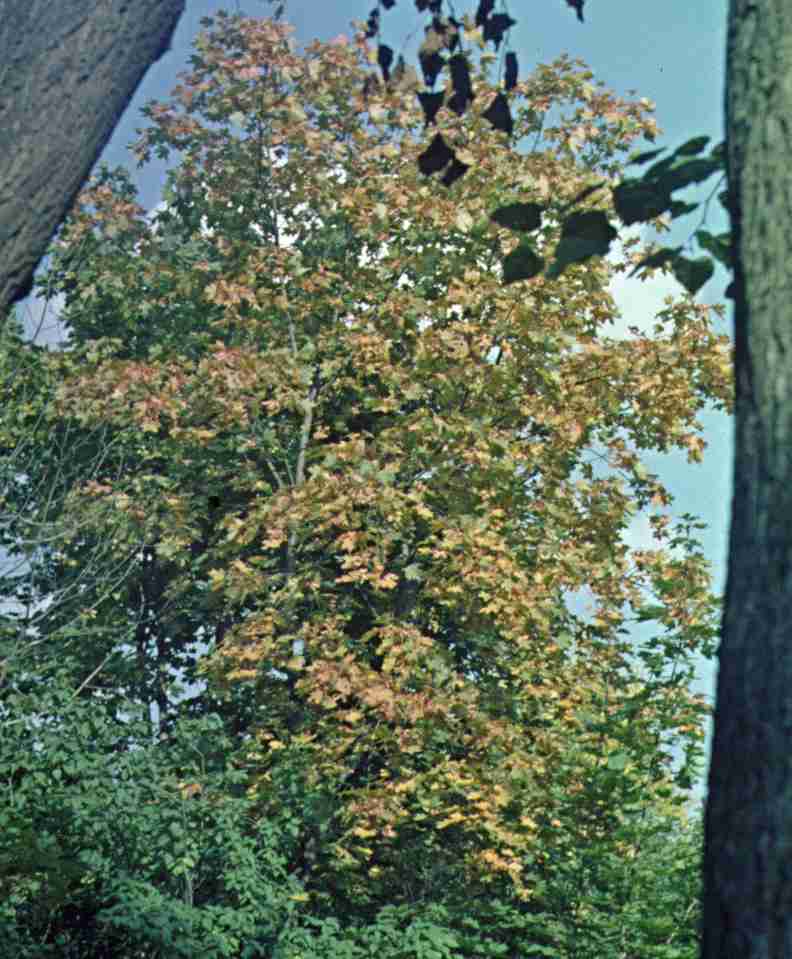 241.jpg