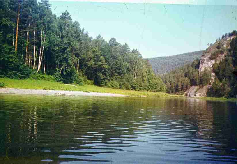 254.jpg