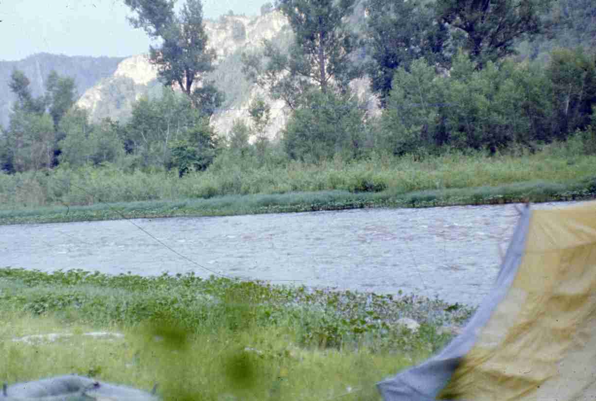 282.jpg