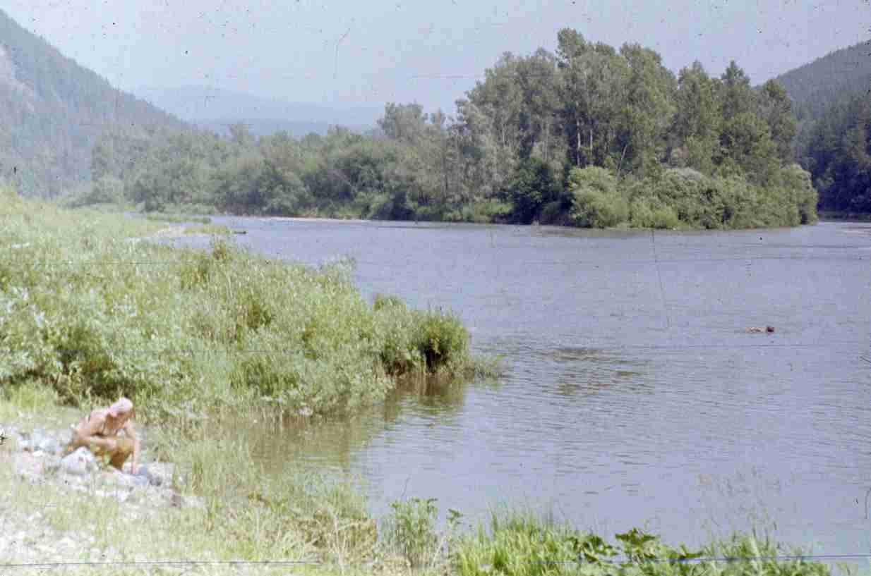 295.jpg