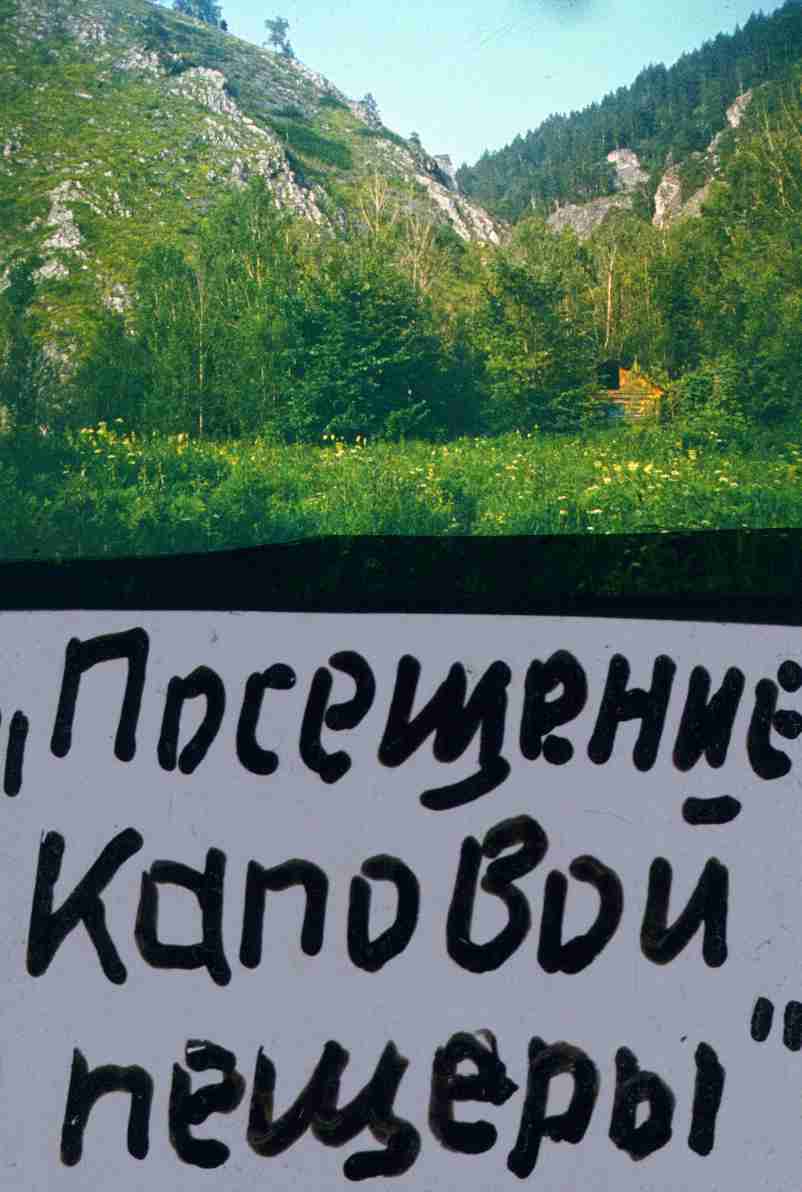 300.jpg