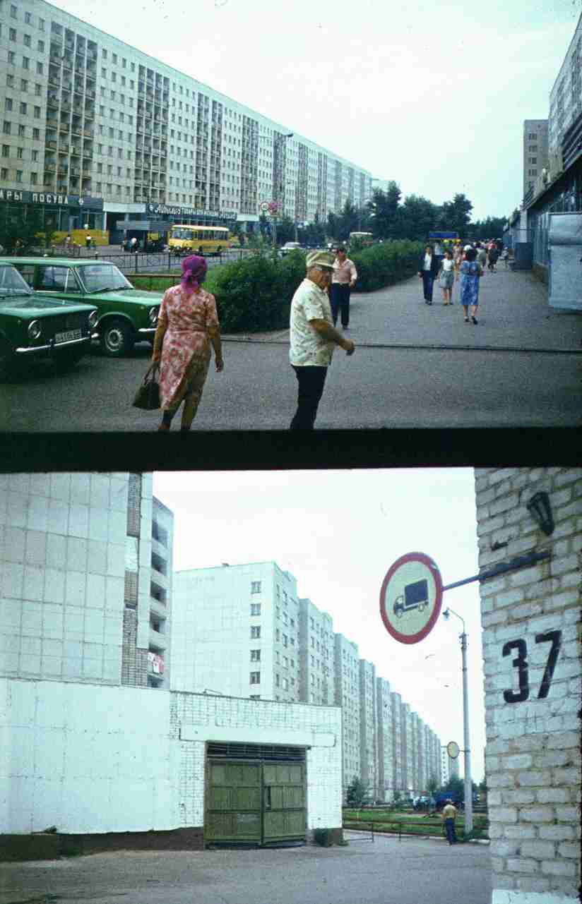 335.jpg