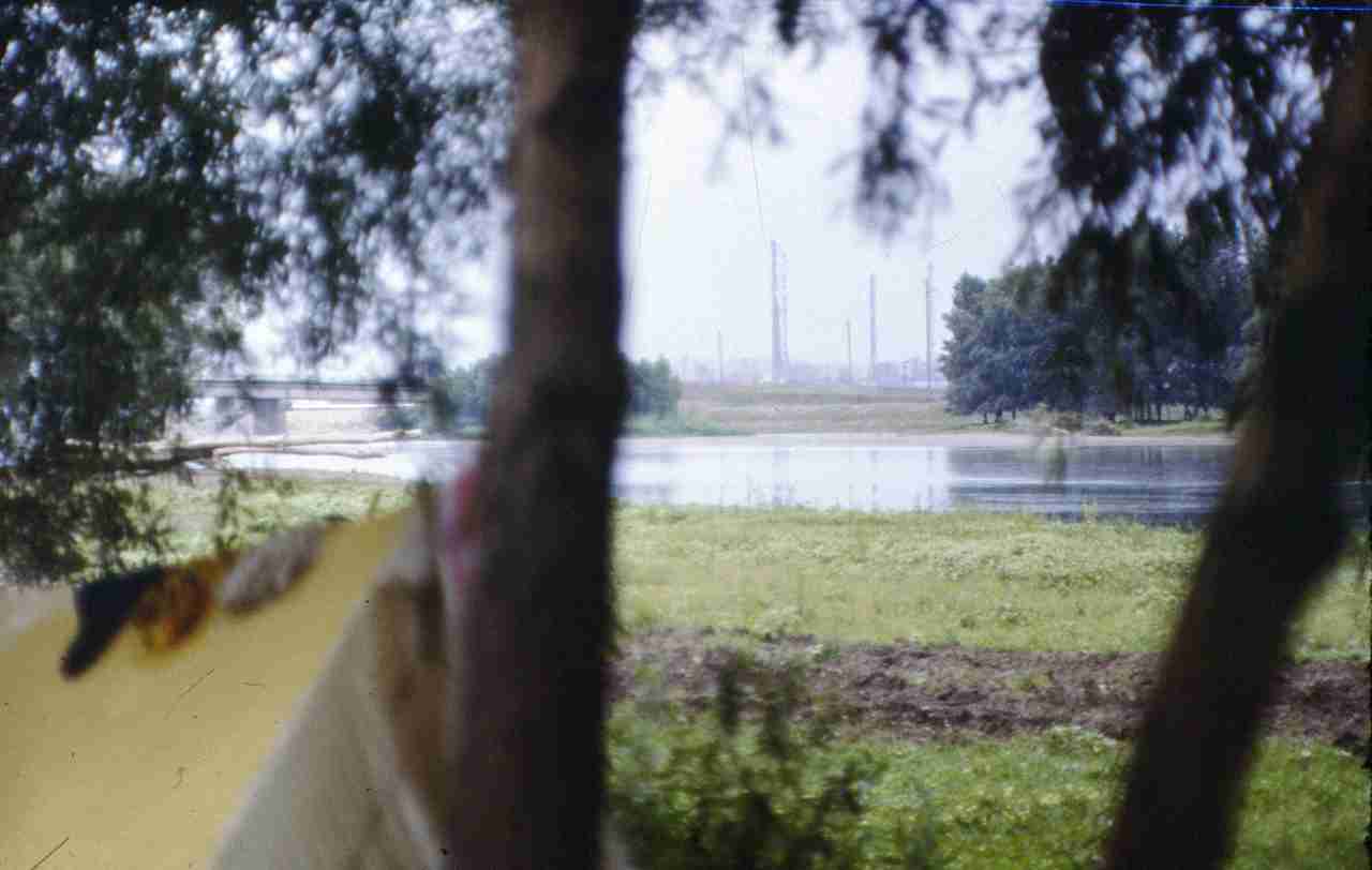 336.jpg