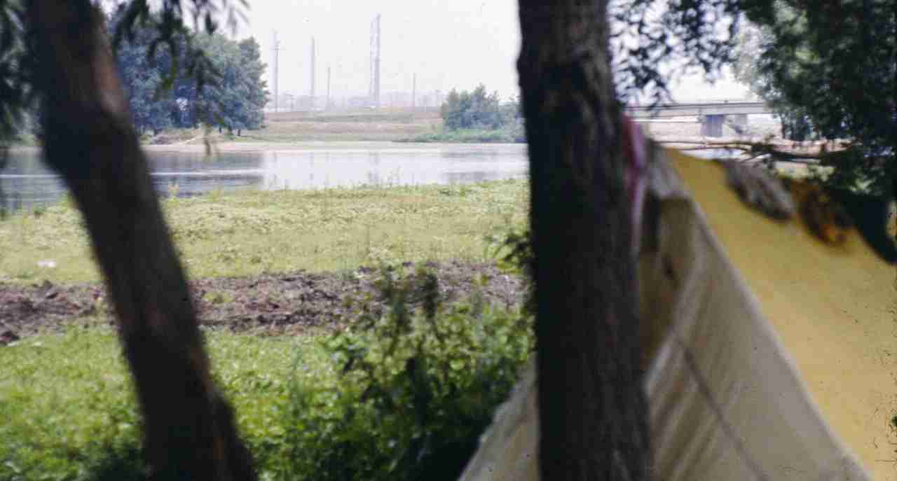 338.jpg