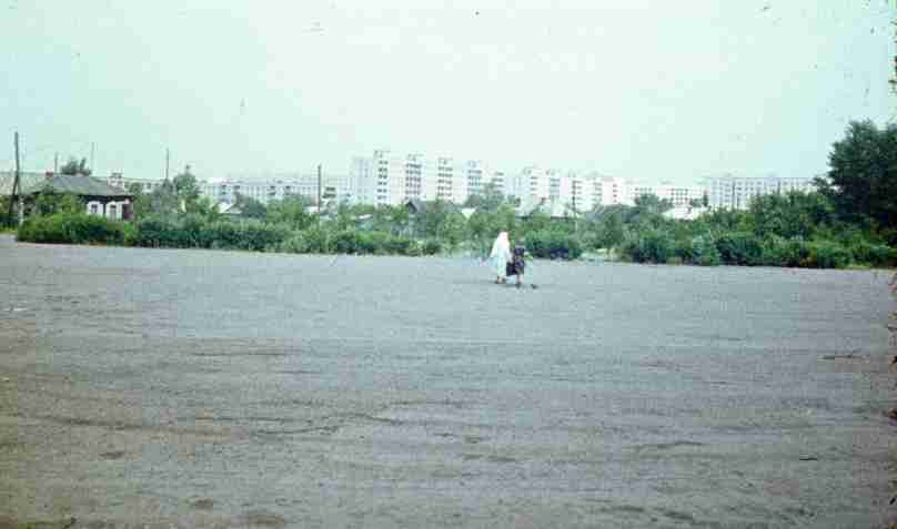 339.jpg