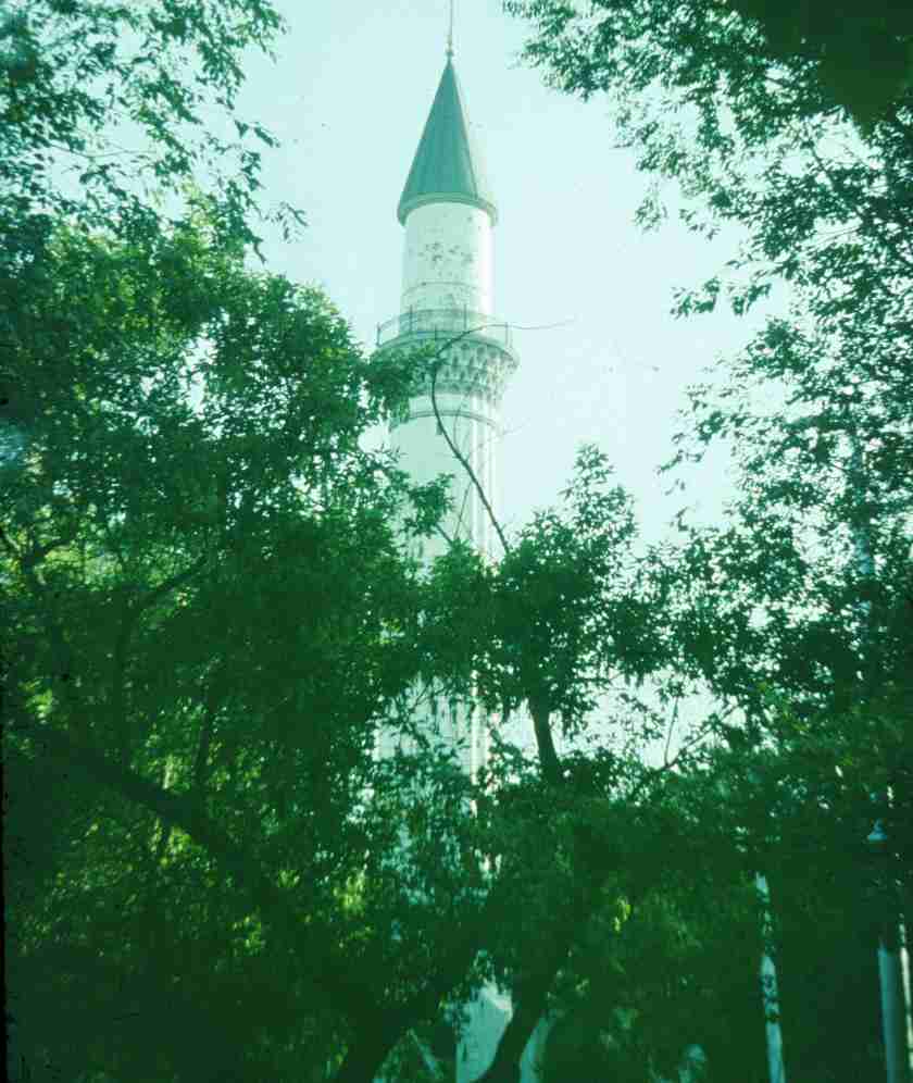 367.jpg