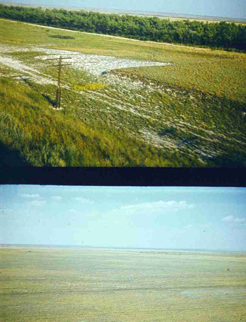 376.jpg