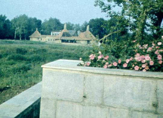 149.jpg