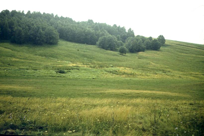203.jpg