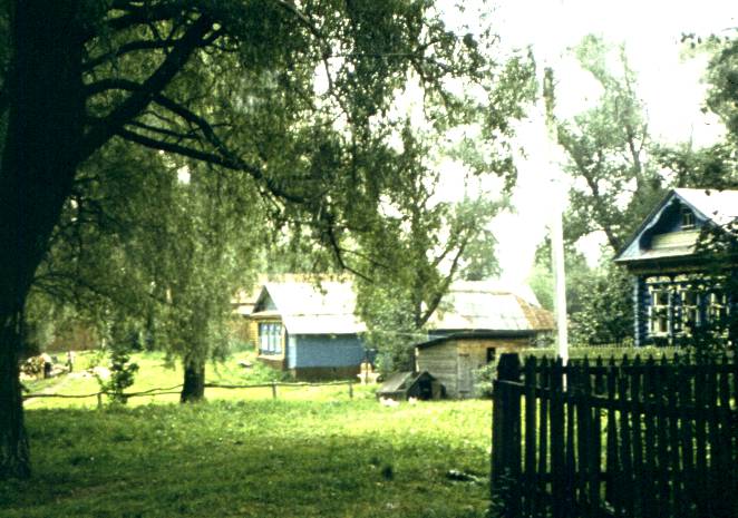 207.jpg