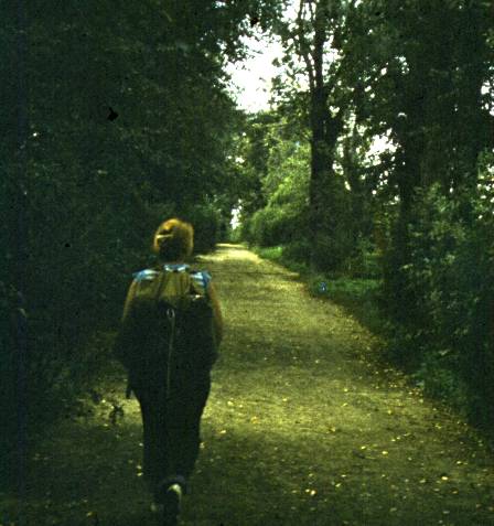 208.jpg