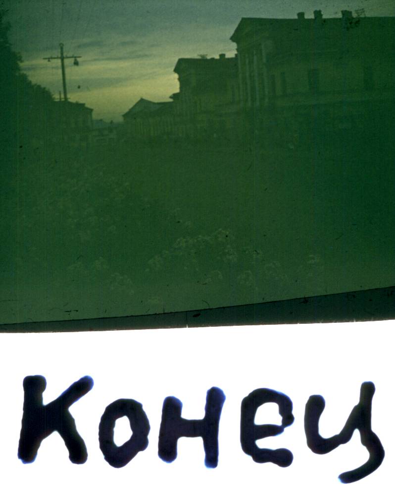 239.jpg