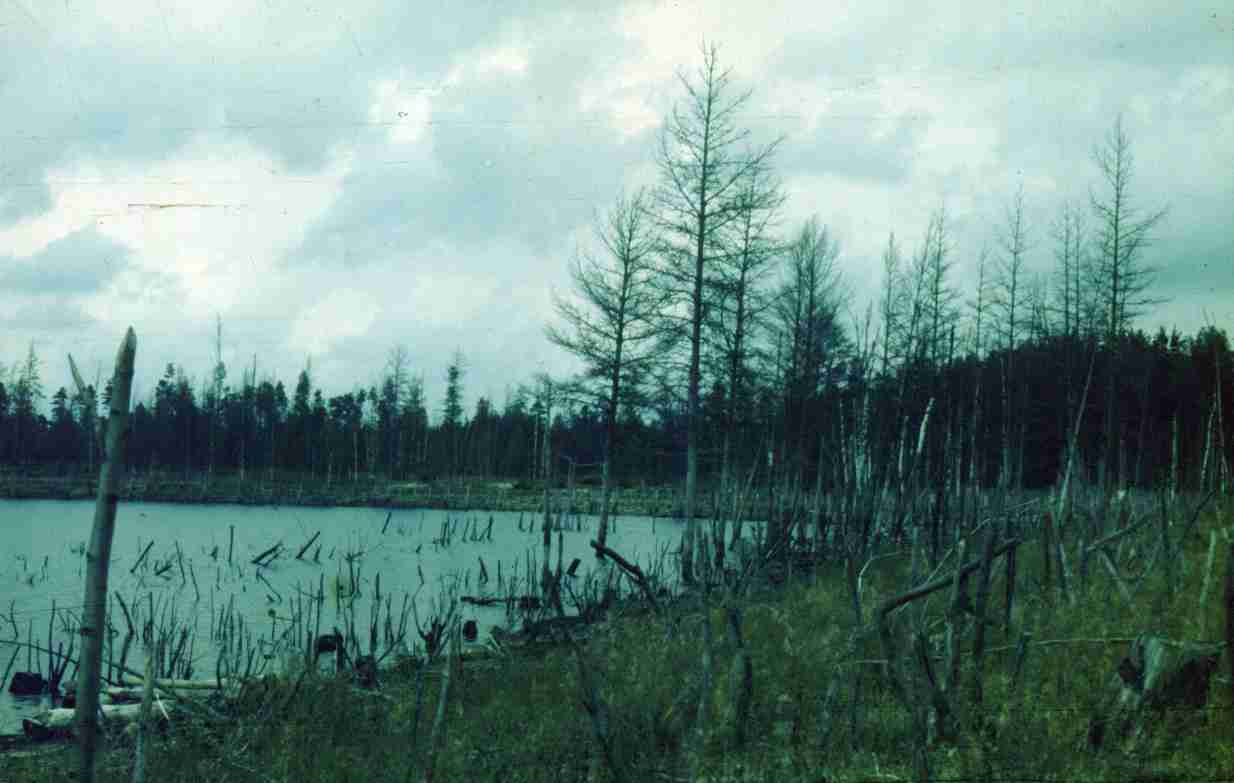 093-1.jpg