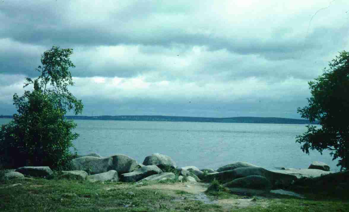 167.jpg