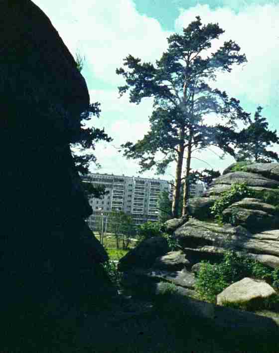 174.jpg