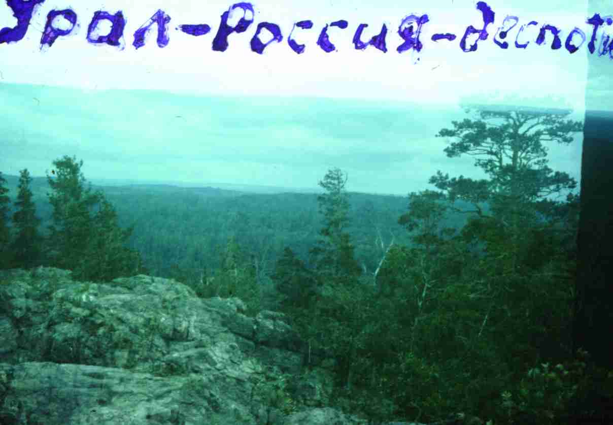 185.jpg