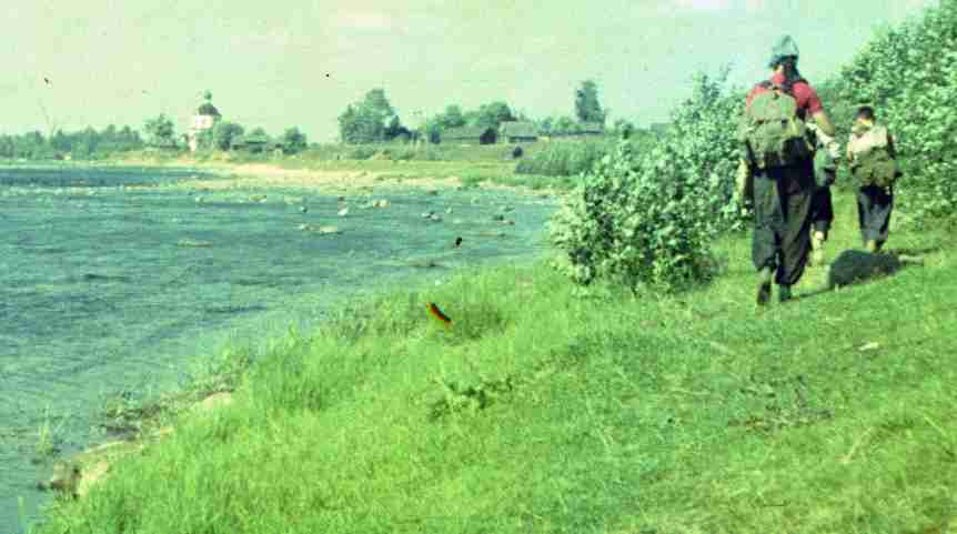196.jpg