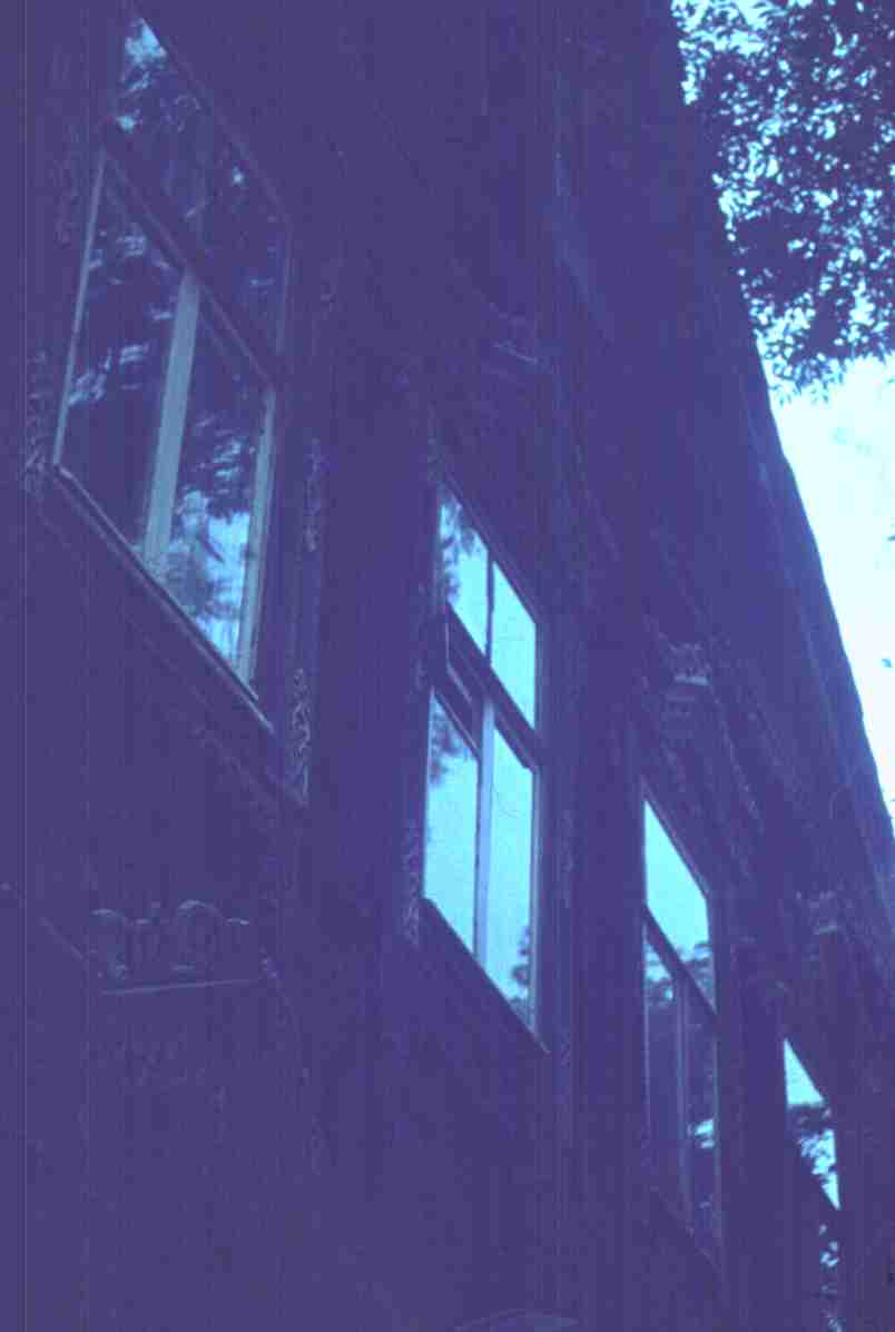 198.jpg