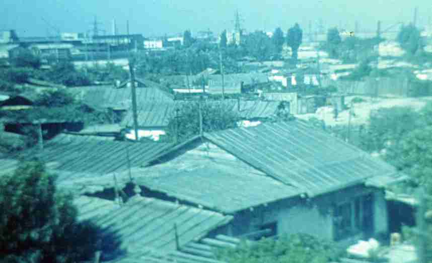 203.jpg