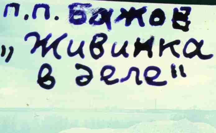 253.jpg