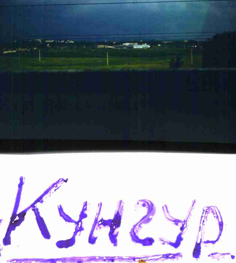 008.jpg