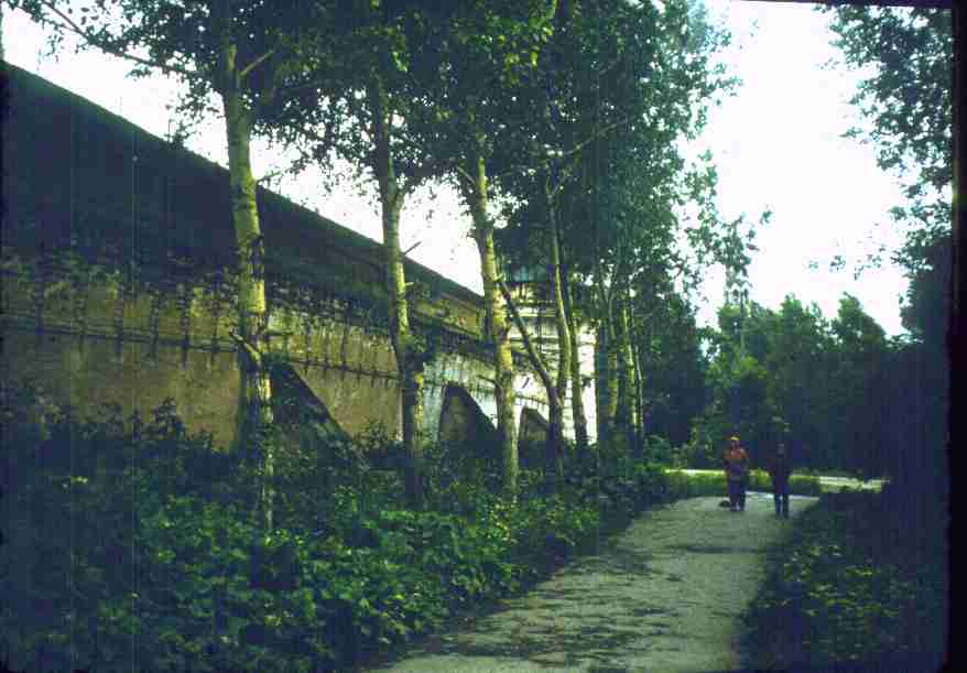 144-1.jpg