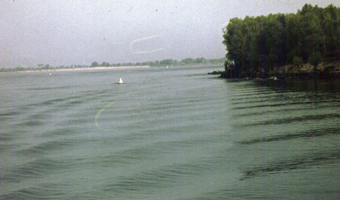 253.jpg