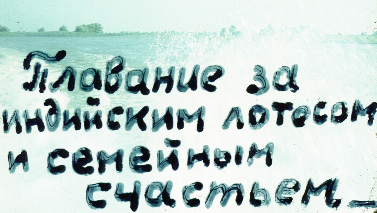 254.jpg