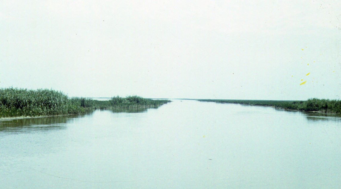 290.jpg