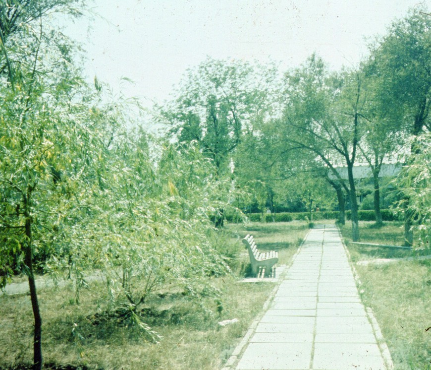 319.jpg