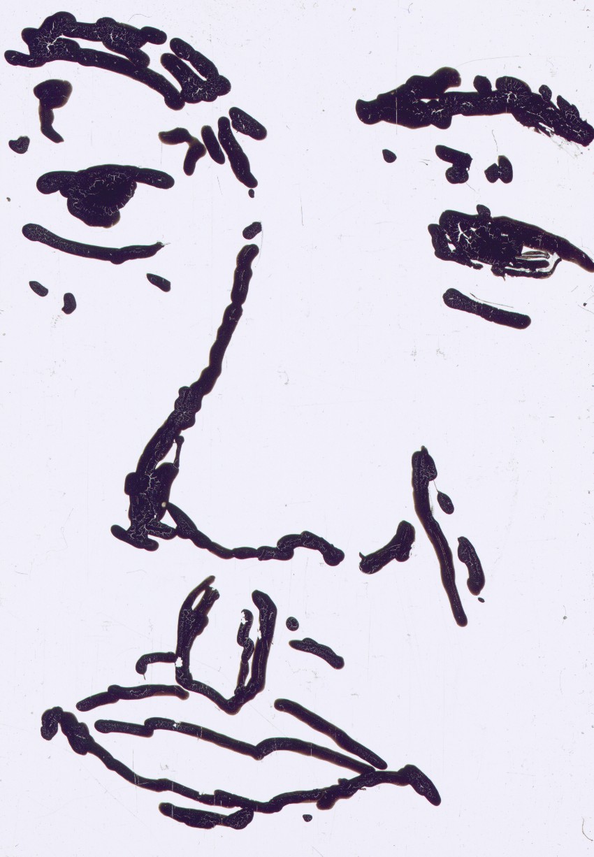135.jpg