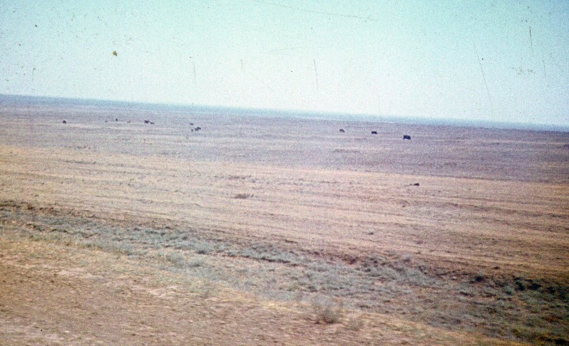151.jpg