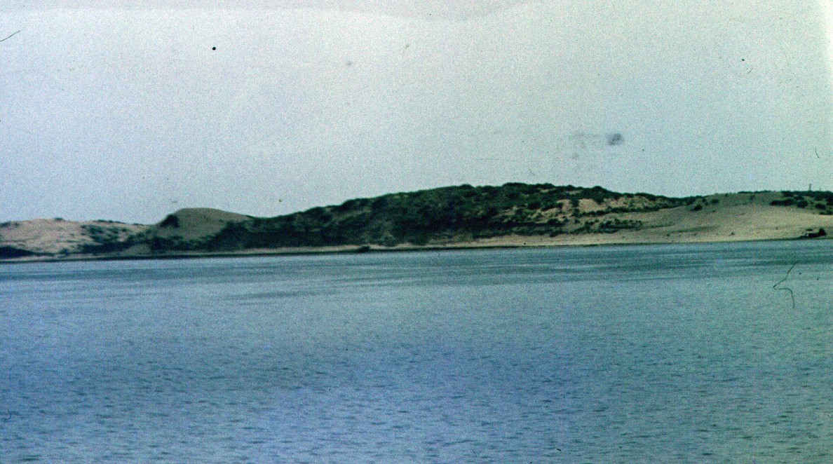 169.jpg